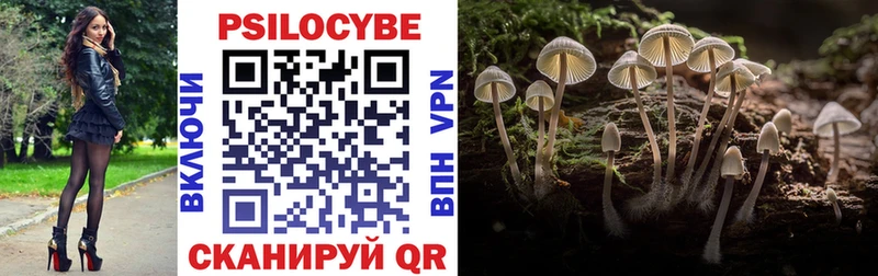 omg как войти  Бежецк  Псилоцибиновые грибы мицелий  даркнет сайт 